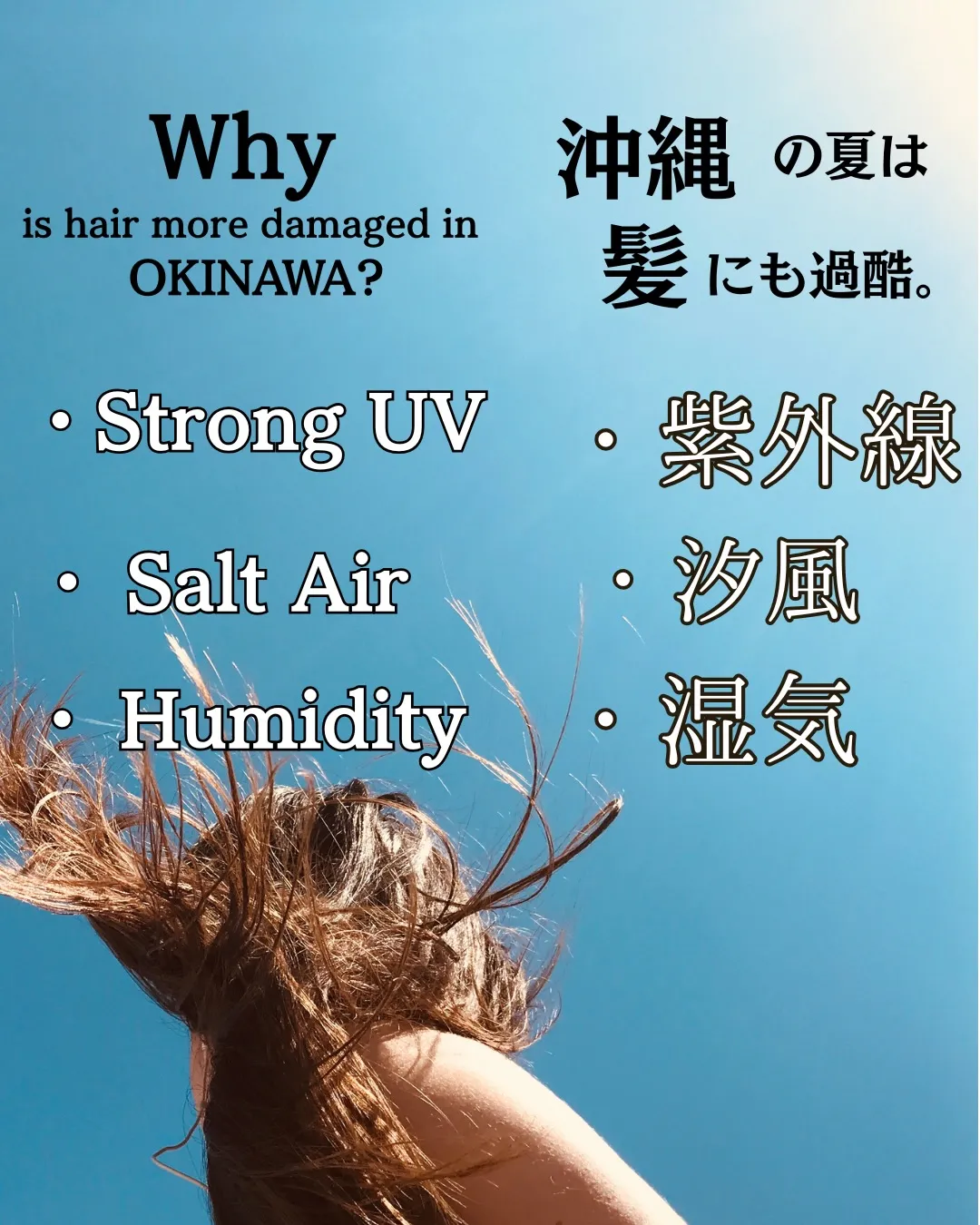 English below↓