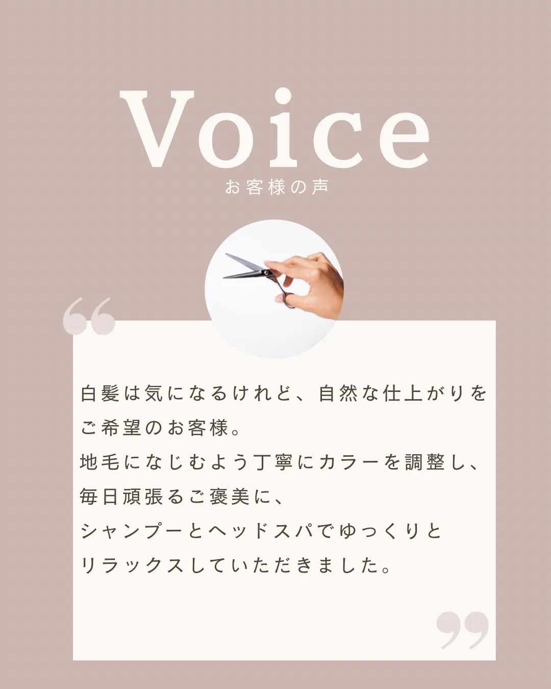 English below↓