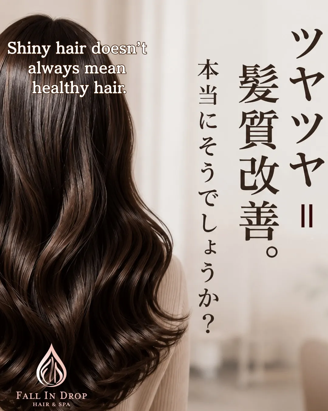 English below↓