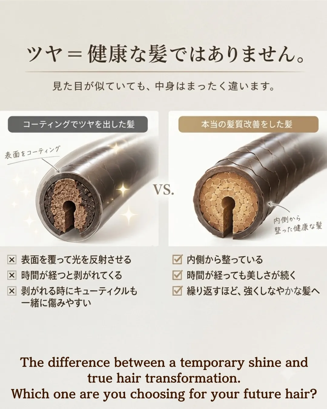 English below↓