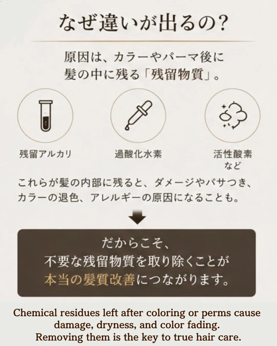 English below↓