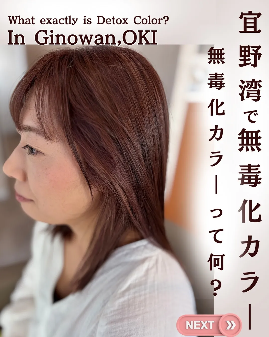 English Below⬇︎