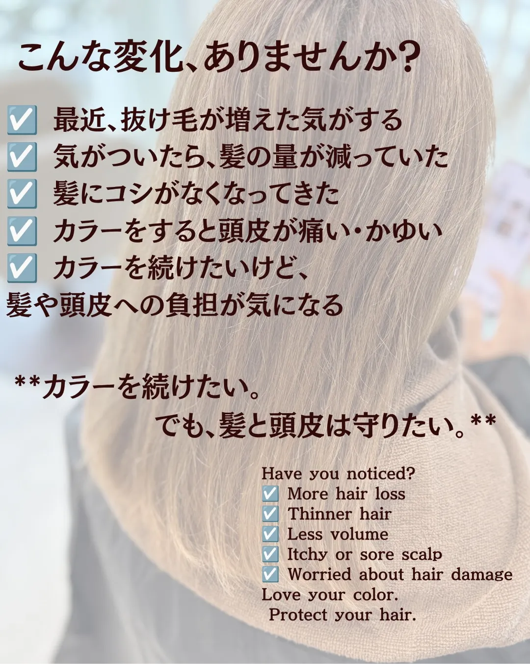English Below⬇︎