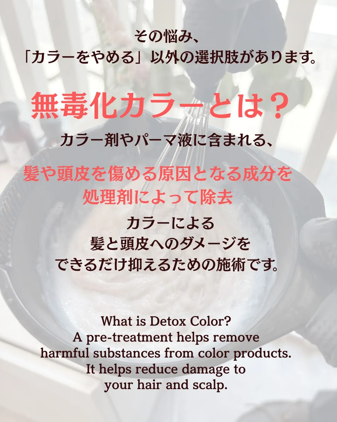 English Below⬇︎