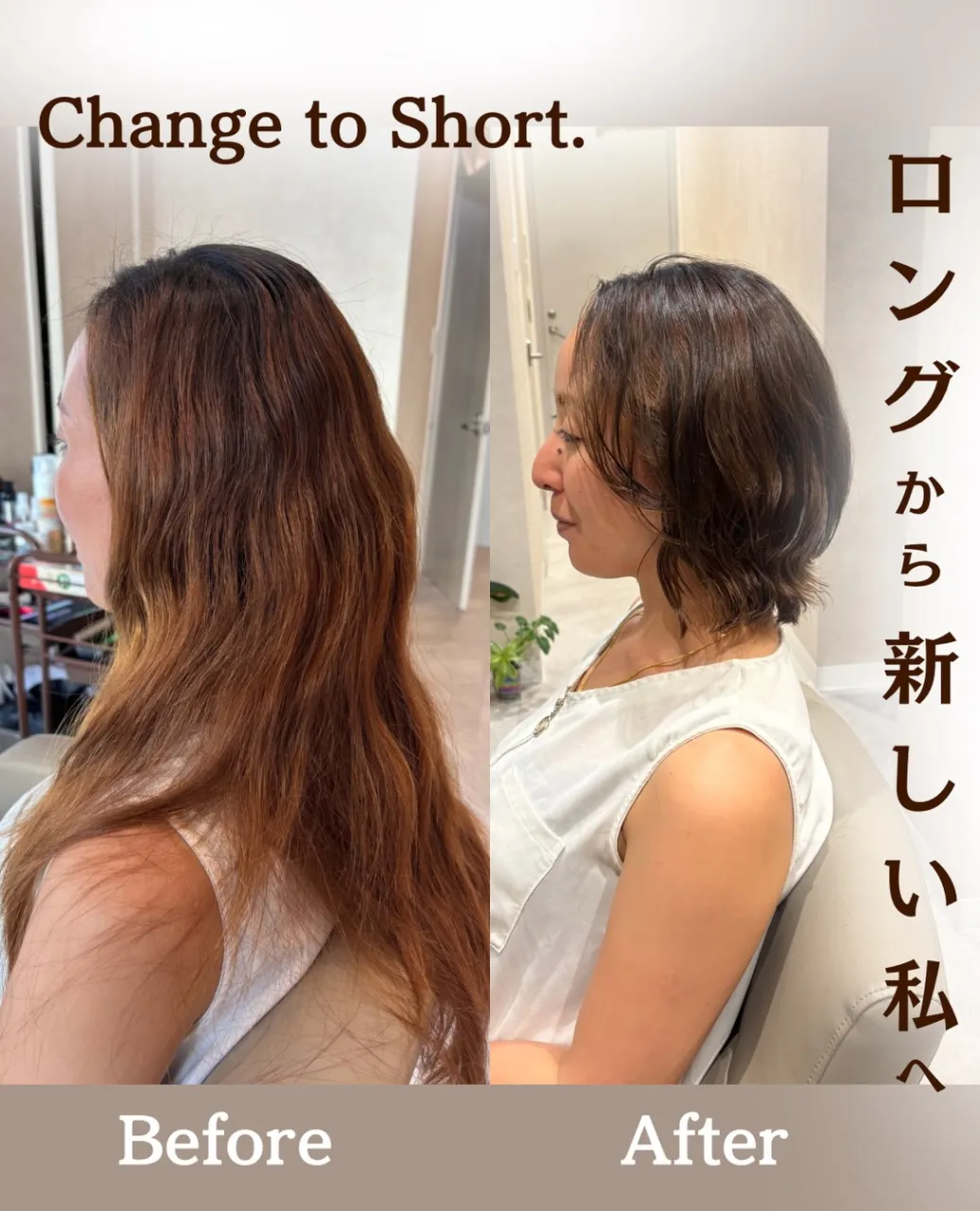 English below↓