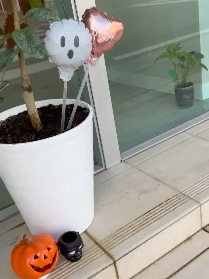 沖縄もだいぶ涼しくなってきましたね🍂