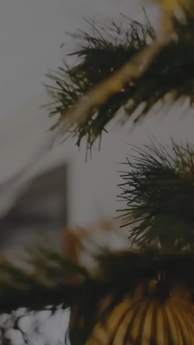 2025年もあとわずか。